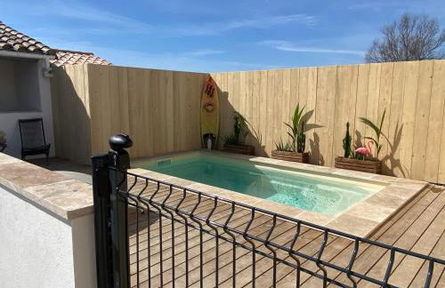 Mas des Oliviers, maison avec piscine privative et chauffée, 3 animaux acceptés LOCAMARGUE - Foto 14