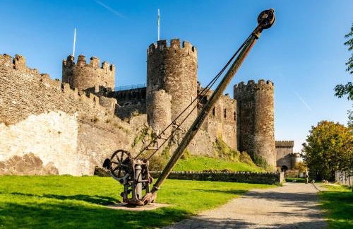 Coed y Felin - Foto 46