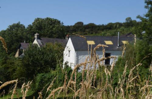 Nantgwynfaen Organic Farm Wales - Photo 34