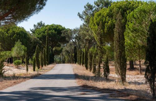 Casas da Horta - Photo 47