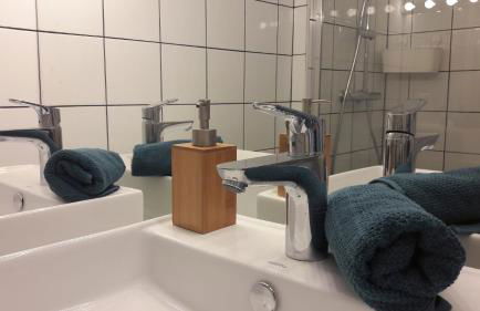 Lille Grand Palais, Europe, Bienvenue chez Nestyou, Lille - Foto 25