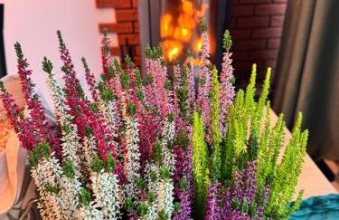 Agroturystyka Rajska Jabłoń - Foto 12