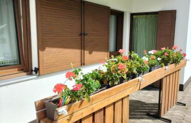 Appartamento l'angelo - Foto 20