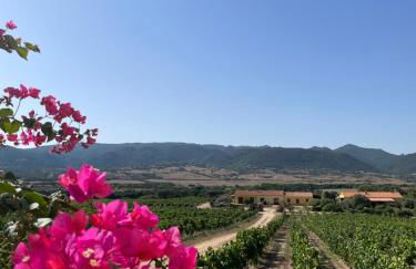 Agriturismo Campesi casale tra le vigne - Photo 1