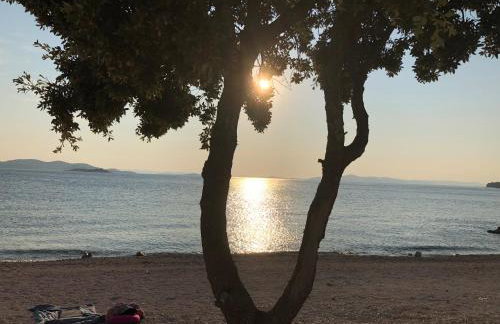 BUQEZ Eco Resort - beachfront 20 & House 42 - Foto 110