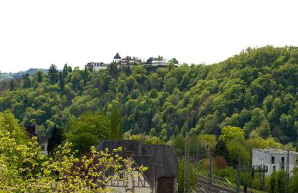 Ferienwohnungen Moselpanorama und Moselblick - Foto 60