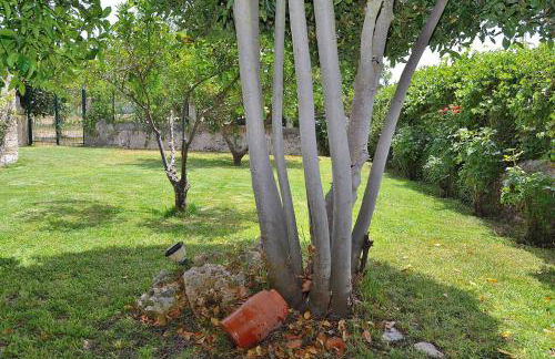 018 Finca Can Blanc ETV44 by Mallorca Charme - Foto 20