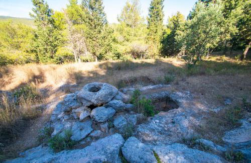 SOHORO Forest Hill Spa by "elite" - Foto 26