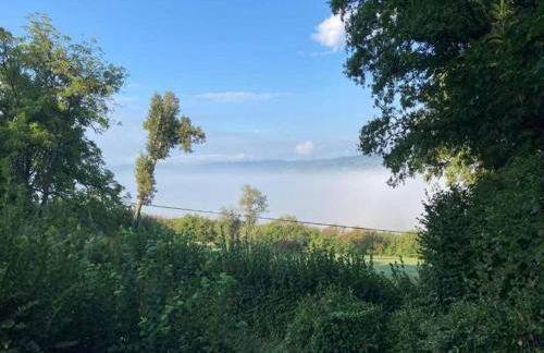 Holiday Home in Limousin near Forest - Foto 32