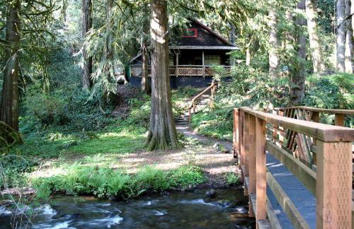 Secluded Forest Cabin in Rhododendron near Mt Hood Village in Oregon - Foto 7