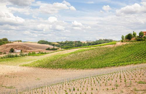 Idyllic Farmhouse in Gambassi Terme-fi With Swimming Pool - Foto 84