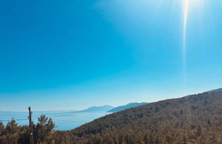 Milton holiday house - Foto 17