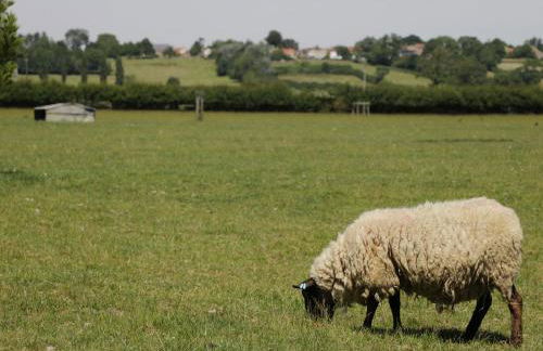 Meadow Cottage - Foto 17