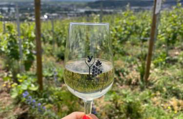 Große Ferienwohnung direkt an den Weinbergen - Foto 17