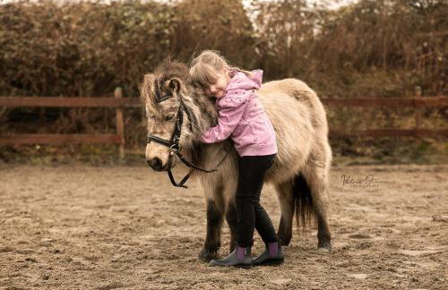 Hof Eichendiek Time Out Village - Foto 30