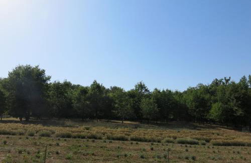 Agriturismo Alchimista - Foto 73