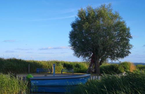 Fewo Seepferdchen - Foto 20