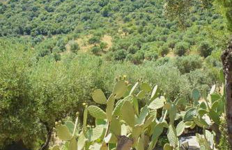 Azienda Agrituristica Le Puzelle - Foto 42