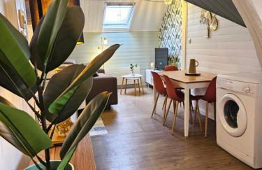 T2 Ctre ville Fibre proche Beauval - Photo 29