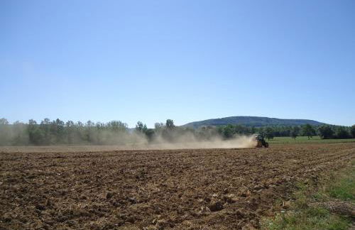 La Maison de Pierre - Foto 41