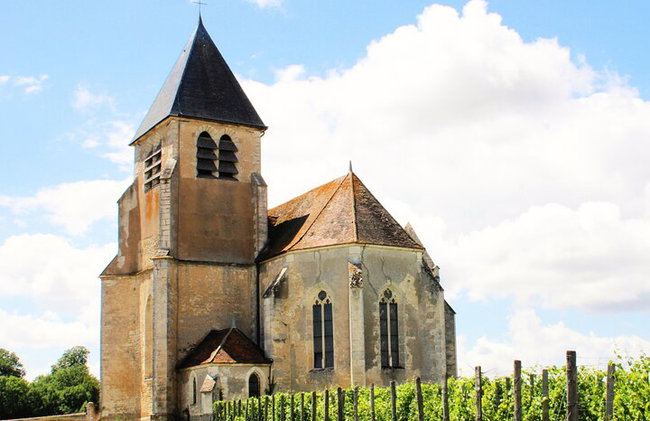 "Dégustation de vins à Chablis, au cœur de l'excellence !" - Photo 5