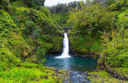 Puamana 80-4 Superior Garden View - Foto 28