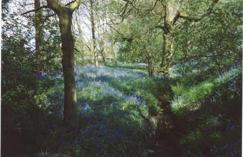 BroomfieldBarns1A - Photo 1