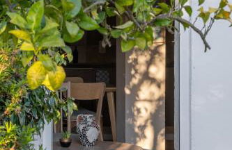 Quinta da Cerejeira - Foto 8