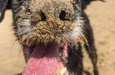 Cottage Sleeps 2- Parking Wood Fire Garden Pets - Foto 67