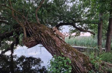 Agroturystyka Krzywy Zakątek - Foto 16