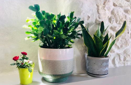 Joli duplex avec terrasse - Foto 9