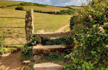 Modern cosy apartment walking distance to many cove beaches and coast path walks as well as the famous Helford river - Foto 22