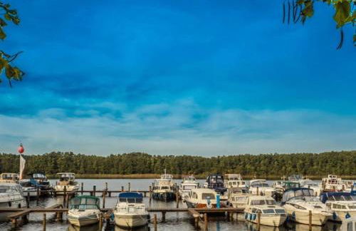 Ferienwohnung im Muritz Nationalpark in Mirow - Photo 42
