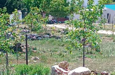 Casa Rural GUADALUPE de la fuenfria - Foto 14