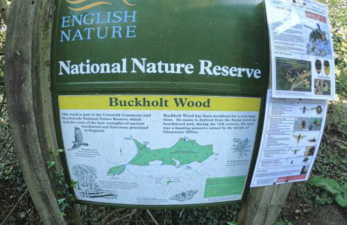 The Organic Cotswolds Shepherds Hut - Photo 25