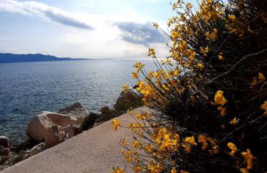 Iva Apartments - Foto 14