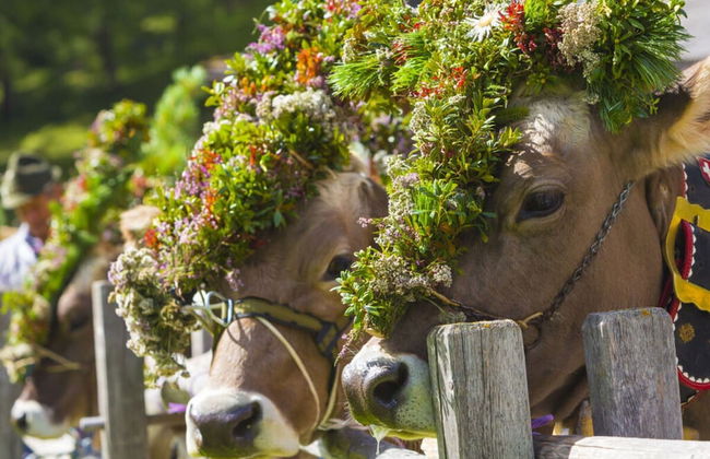Lively Apartment in Sonthofen - Foto 29