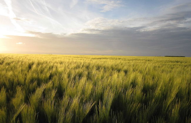 Spacious Cottage With Private Garden in Normandy - Foto 70