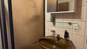 Pension Schmidt - Wipfelblick - Voll ausgestattetes Loft Apartment - Foto 4, Shower