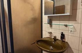 Pension Schmidt - Wipfelblick - Voll ausgestattetes Loft Apartment - Foto 4