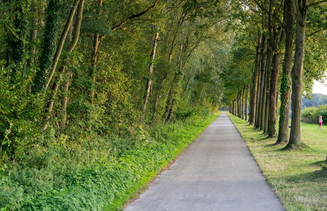 Enchanting Forest Escape - Foto 33