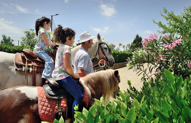 Agriturismo Villa Dafne - Foto 51