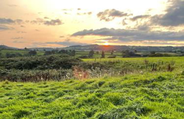 Ty Odyn. Best of Both Worlds. Rural yet Connected. - Photo 9