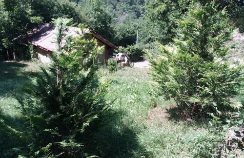 Le Domaine Enchanté - Photo 16