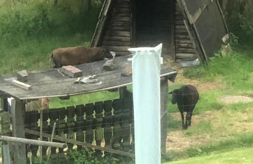Ferienwohnung Wolf - Foto 10