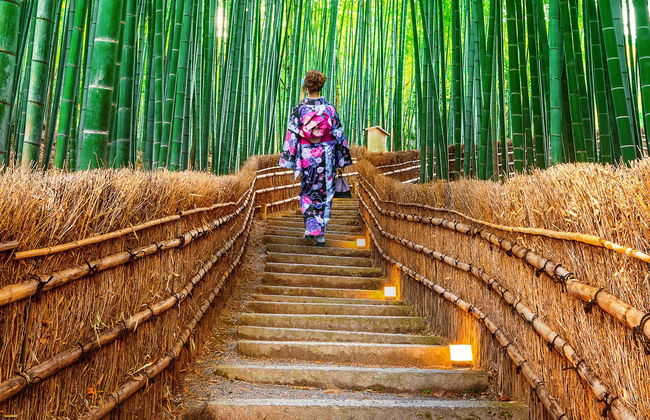 Excursión a Arashiyama, Kinkakuji y Nara - Foto 3