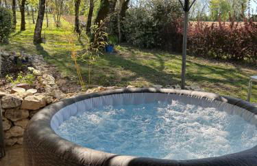 Les fontanelles du quercy blanc - Foto 13