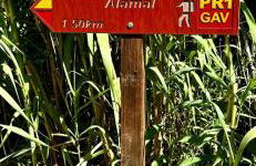 Casa do Castelo - Foto 72