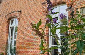 Zur Zitadelle - Foto 18