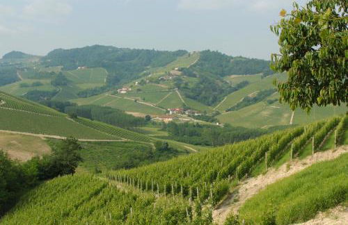 Agriturismo i Grappoli - Foto 89